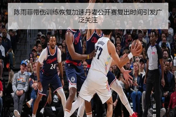 陈雨菲带伤训练恢复加速丹麦公开赛复出时间引发广泛关注